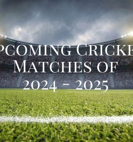 Cricket Update